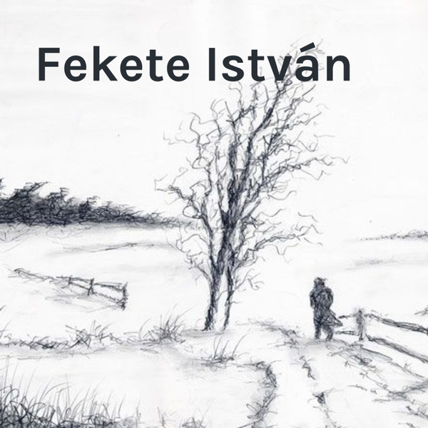 Artwork for Fekete István