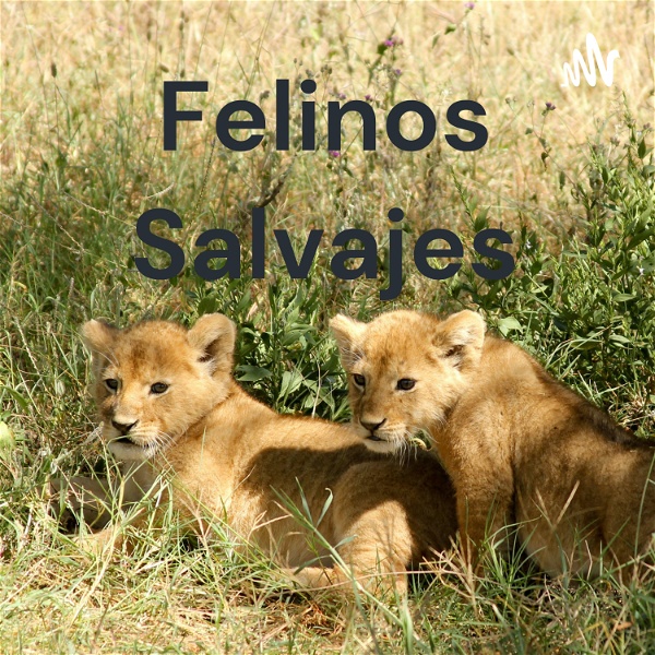 Artwork for Felinos Salvajes