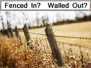 Artwork for Fenced In? Walled Out?