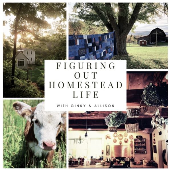 Artwork for Figuring Out Homestead Life