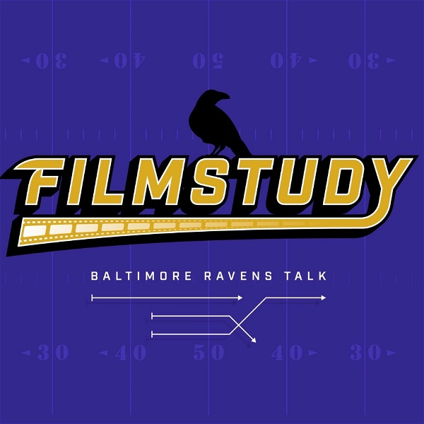 Bad Birds of Baltimore  Baltimore ravens football, Ravens football,  Baltimore