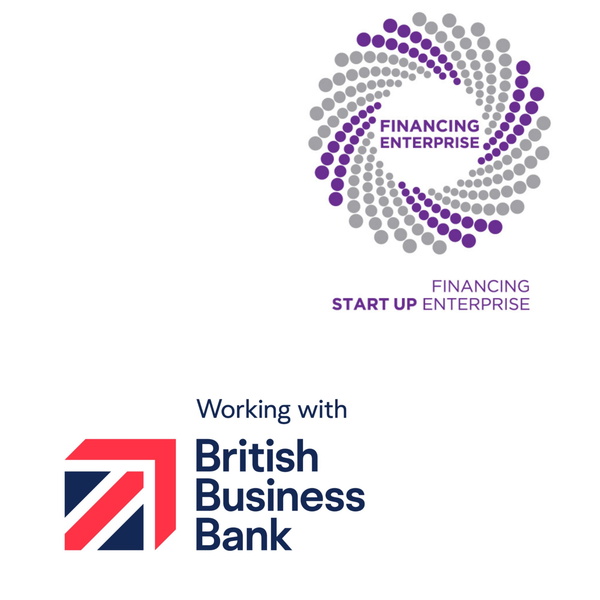 Artwork for Financing Start Up Enterprise