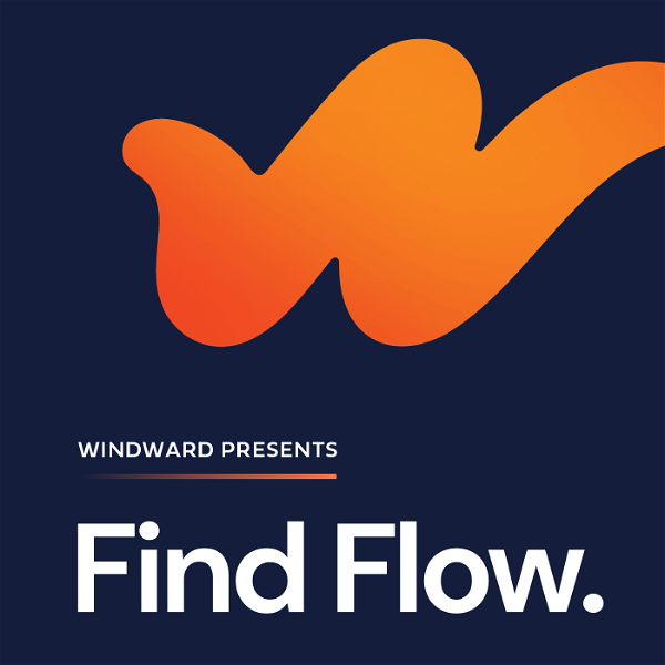 Artwork for Find Flow