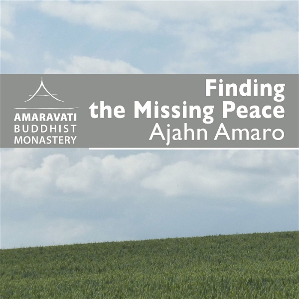 Artwork for Finding the Missing Peace by Ajahn Amaro