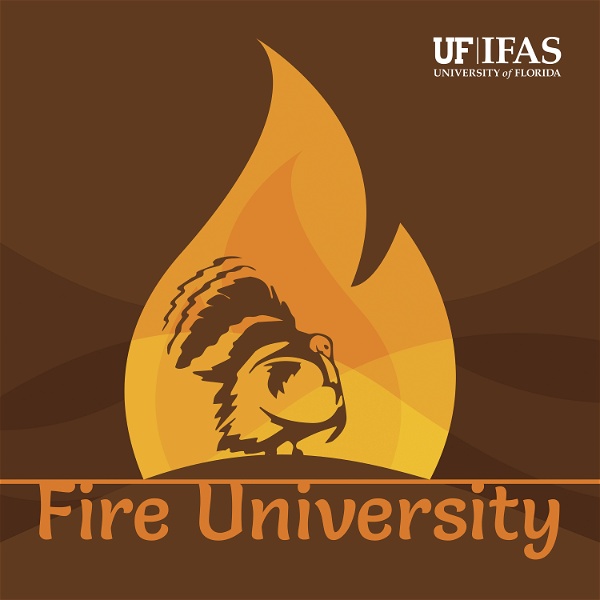 Artwork for Fire University