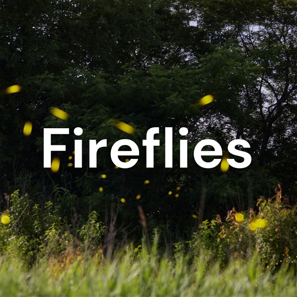 Artwork for Fireflies