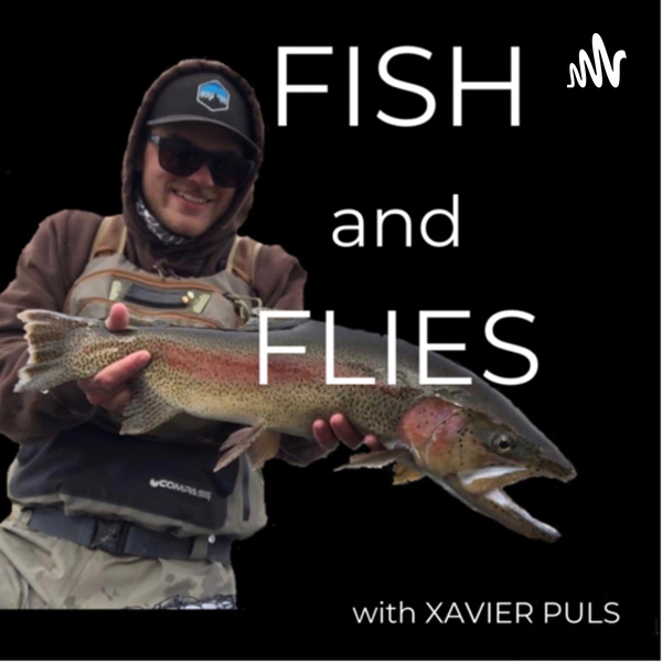 Artwork for Fish and Flies