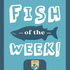 Fish of the Week!