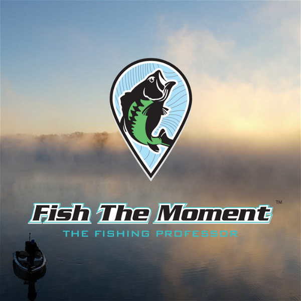 Artwork for Fish the Moment Podcast