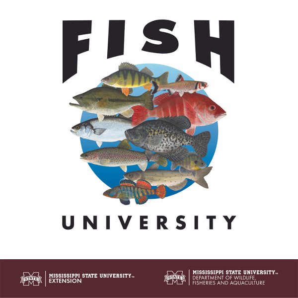 Artwork for Fish University