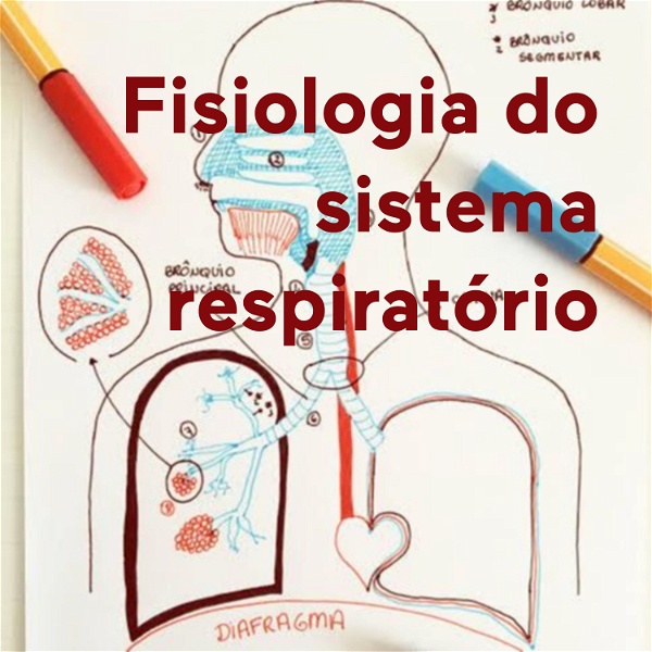 Artwork for Fisiologia do sistema respiratório