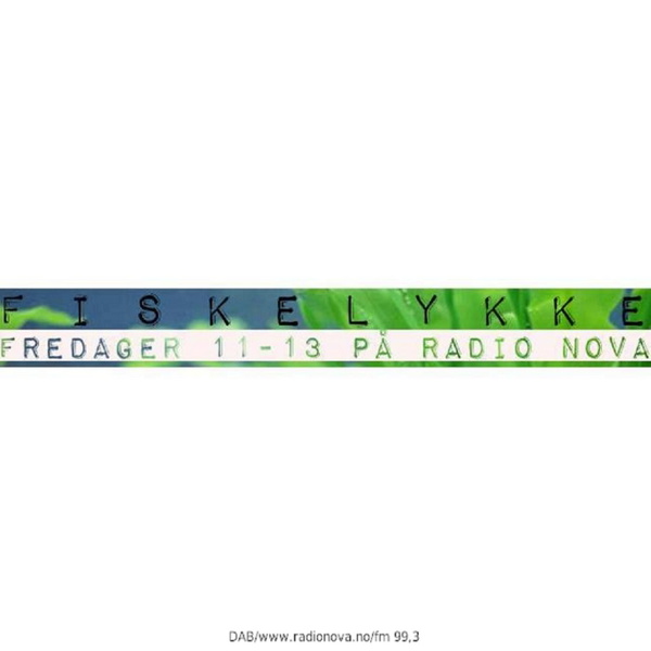 Artwork for Fiskelykke