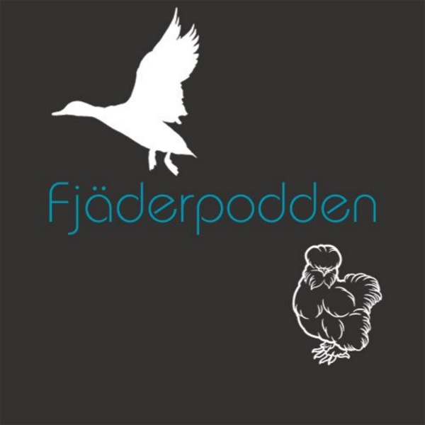 Artwork for Fjäderpodden