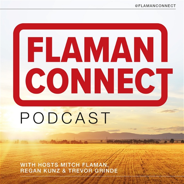 Artwork for Flaman Connect