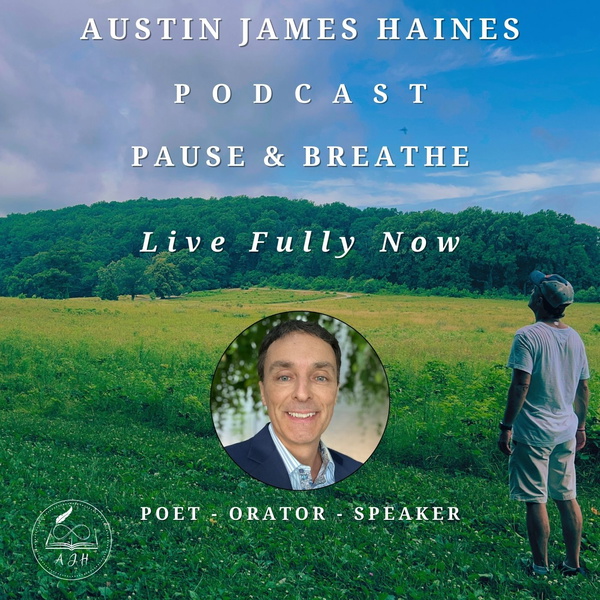 Artwork for The Austin James Haines Podcast