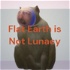 Flat Earth is Not Lunacy