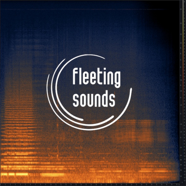 Artwork for fleeting sounds