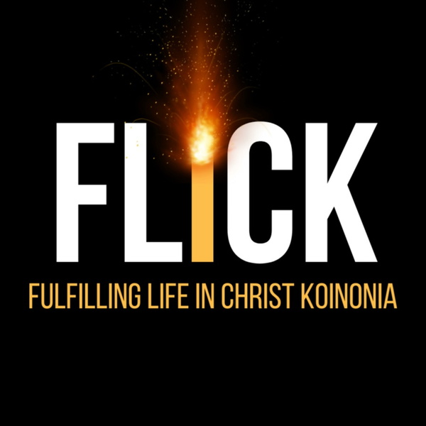 Artwork for FLICK THE MOVEMENT