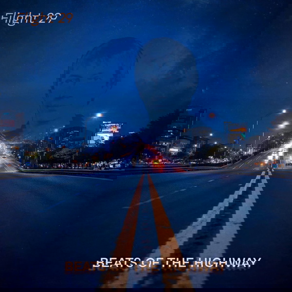 Artwork for Flight 29