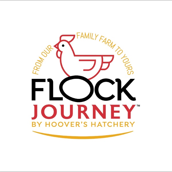 Artwork for Flock Journey