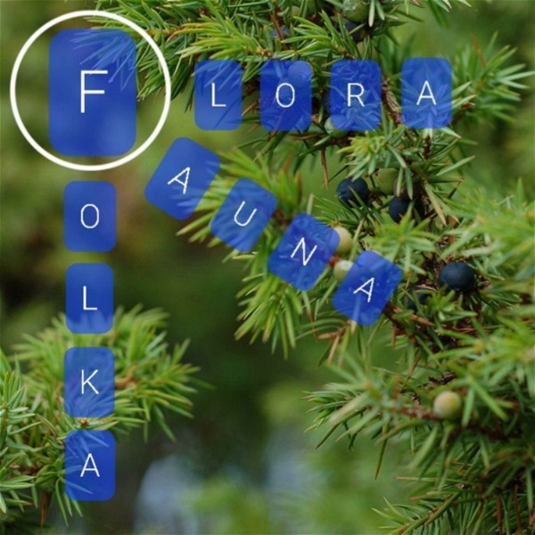 Artwork for Flora Fauna Folka