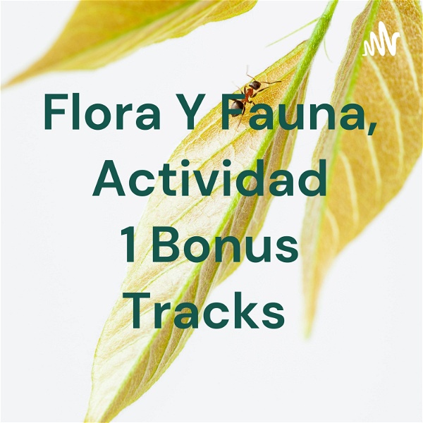 Artwork for Flora Y Fauna, Actividad 1 Bonus Tracks