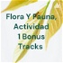 Flora Y Fauna, Actividad 1 Bonus Tracks