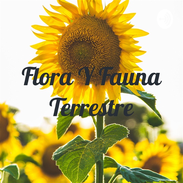 Artwork for Flora Y Fauna Terrestre