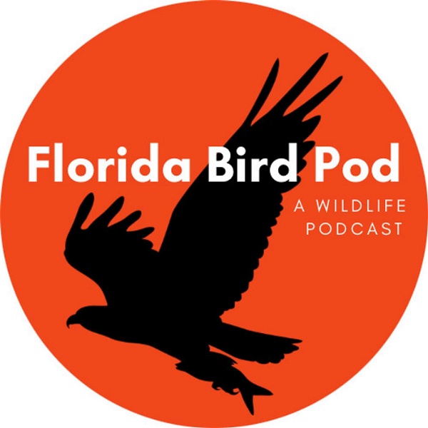 Artwork for Florida Bird Pod