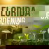 Florida Gardening