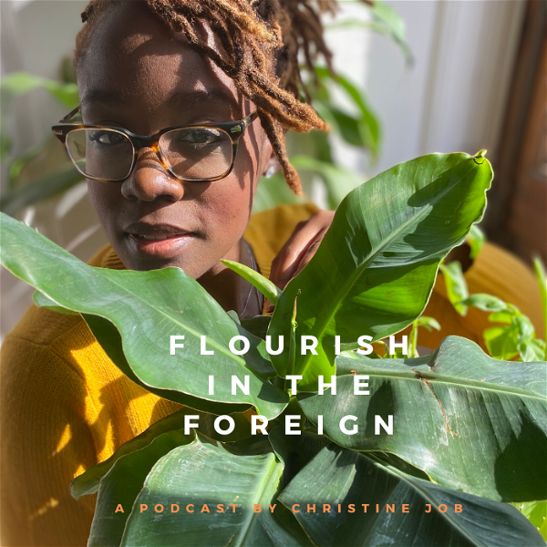 Artwork for Flourish In The Foreign