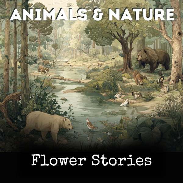 Artwork for Flower Stories