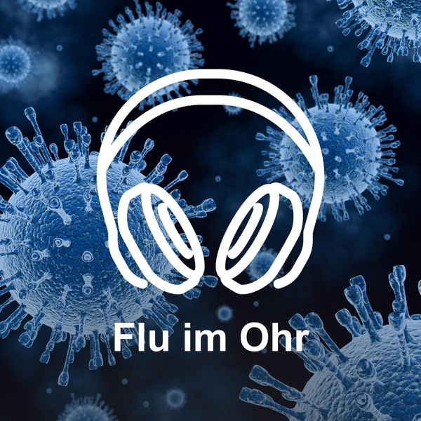 Artwork for Flu im Ohr