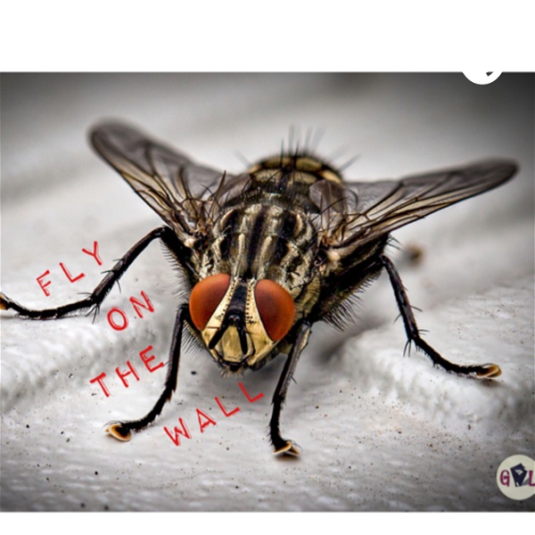 Artwork for Fly On The Wall-GHL