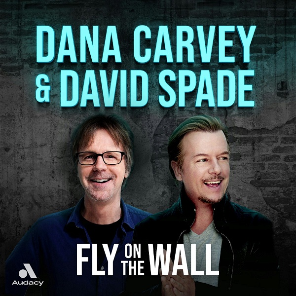 Artwork for Fly on the Wall