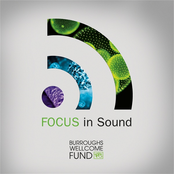 Artwork for Focus In Sound