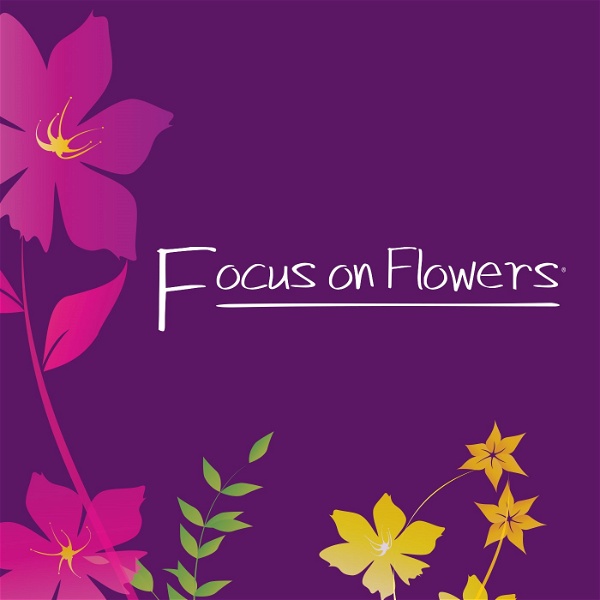 Artwork for Focus on Flowers