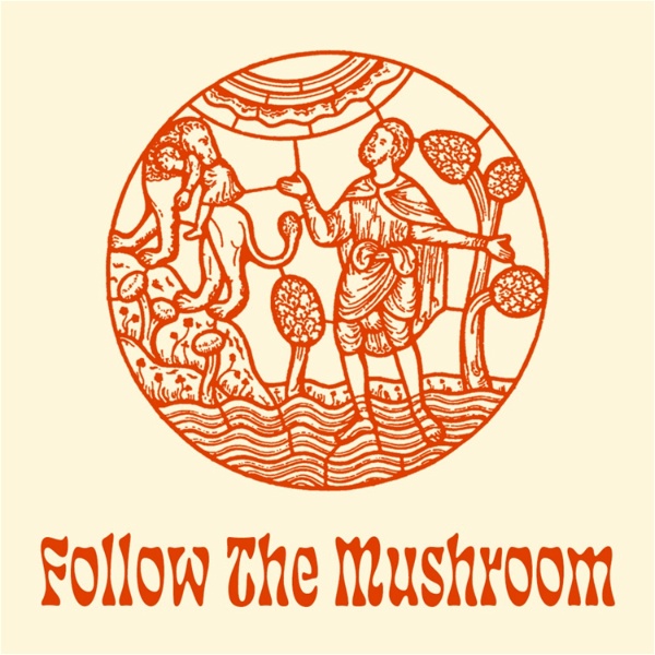 Artwork for Follow The Mushroom