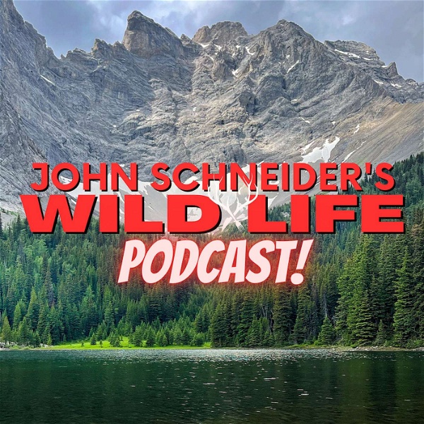 Artwork for John Schneider's Wild Life