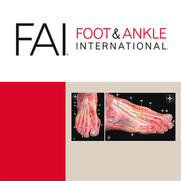 Artwork for Foot & Ankle International