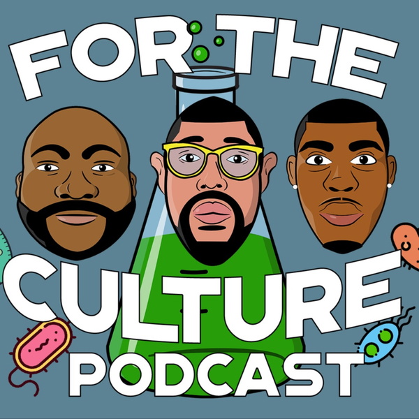 Artwork for For The Culture Podcast
