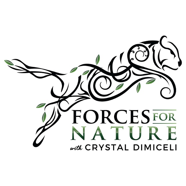 Artwork for Forces for Nature