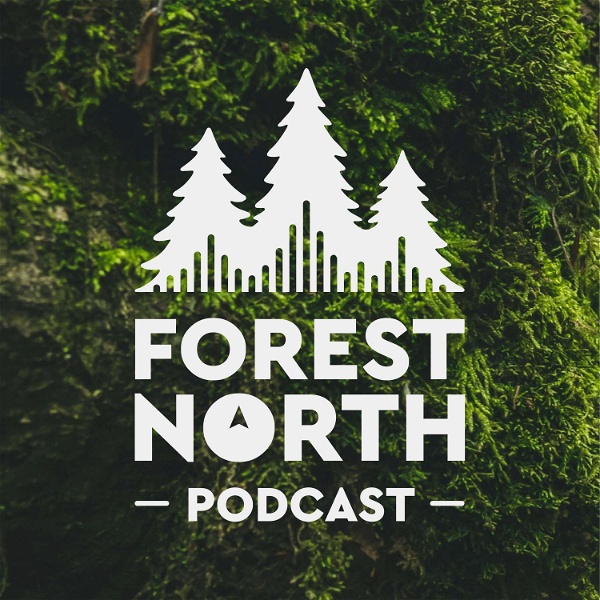 Artwork for Forest North