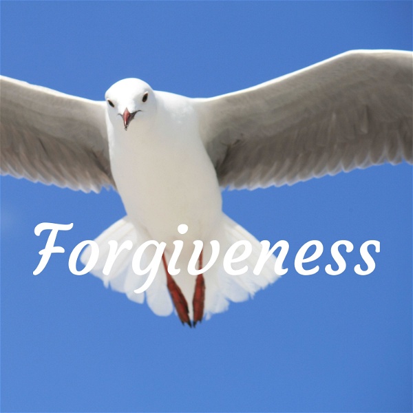 Artwork for Forgiveness