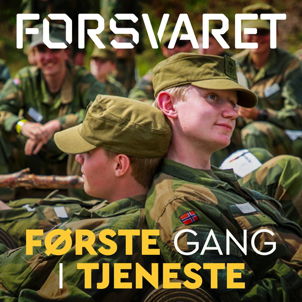 Artwork for Første gang i tjeneste