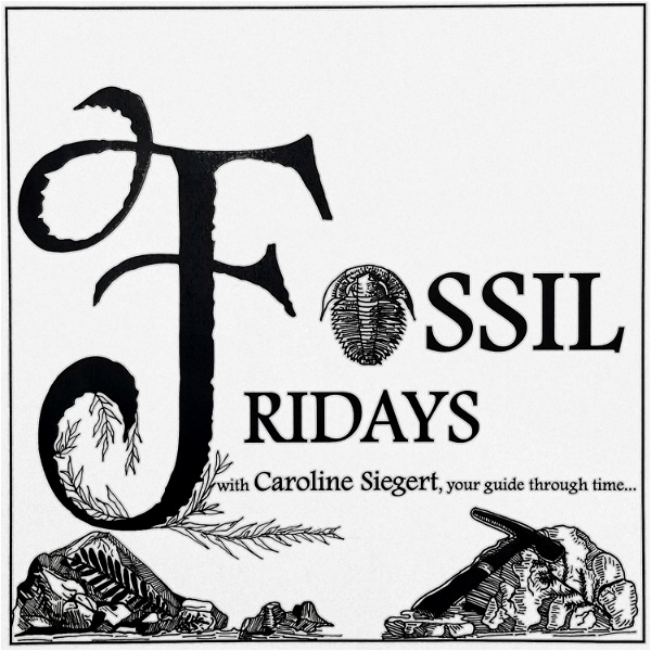 Artwork for Fossil Fridays