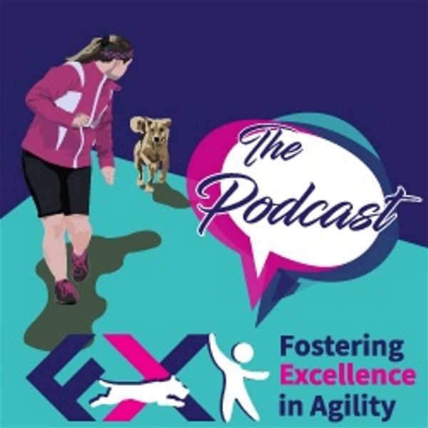 Artwork for Fostering Excellence in Agility