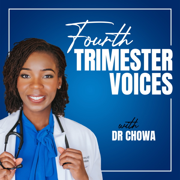 Artwork for Fourth Trimester Voices