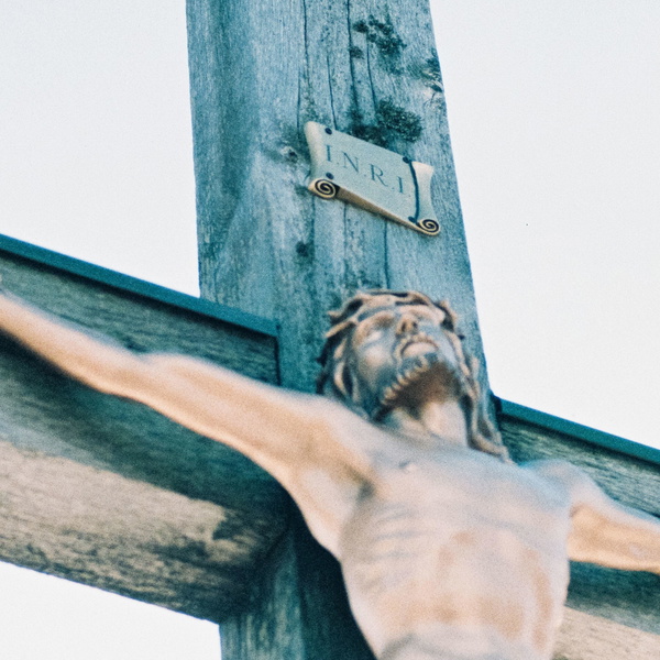 Artwork for Fr. Bill VanderWerff Homilies