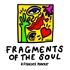 Fragments Of The Soul